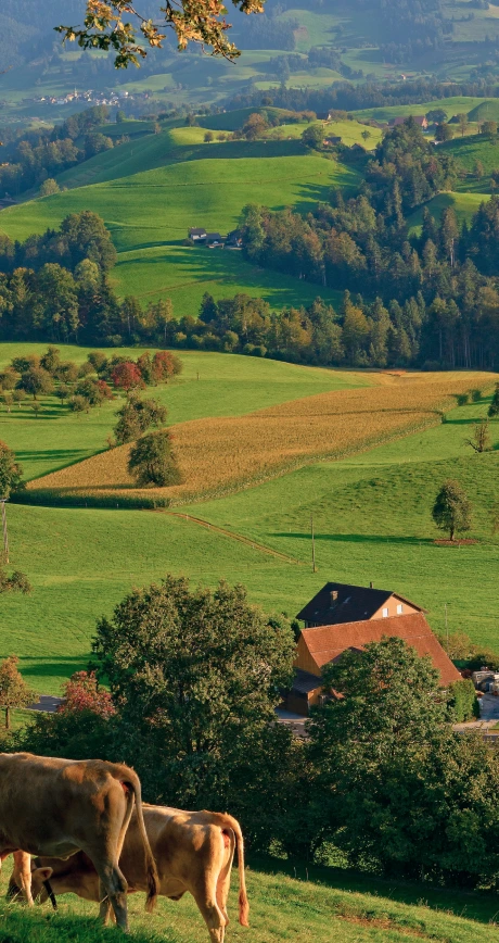 The Importance of Planned Grazing