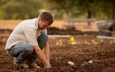 Starting a Farm Without Any Money