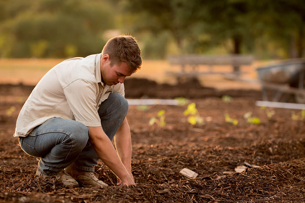 Starting a Farm Without Any Money