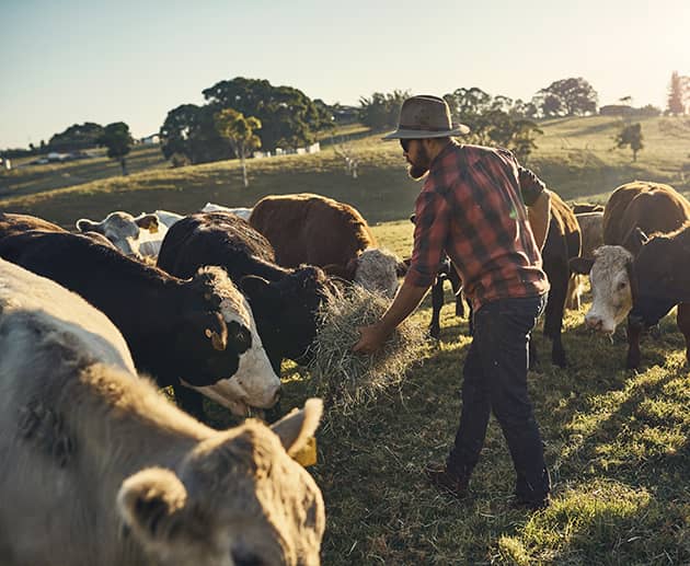 Acres USA – Organisations