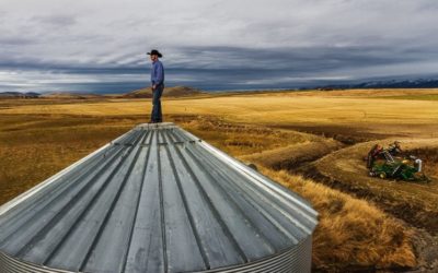 How a Farmer Can Improve Their Work Life Balance