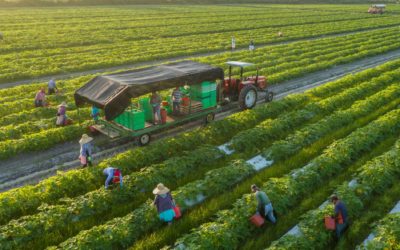 Sustainable Agriculture Takes Root in WA