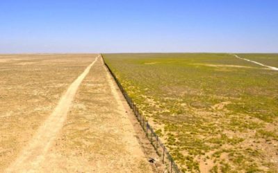 Desertification And Grazing