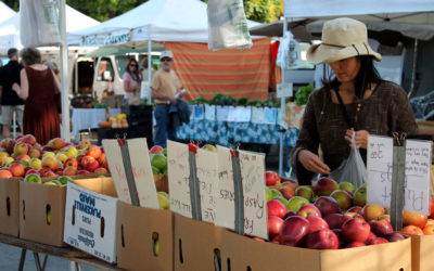 How to Market Sustainable Farming