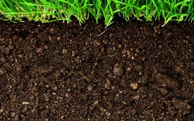 Five Core Principles of Soil Restoration