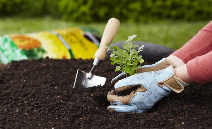 Sustainable Gardening Methods