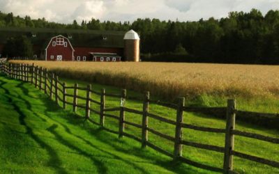 Helpful Policies For Sustainable Farmers