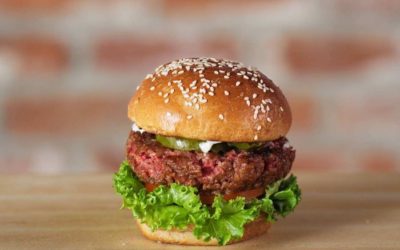 Trouble For The Plant-Based Meat Industry