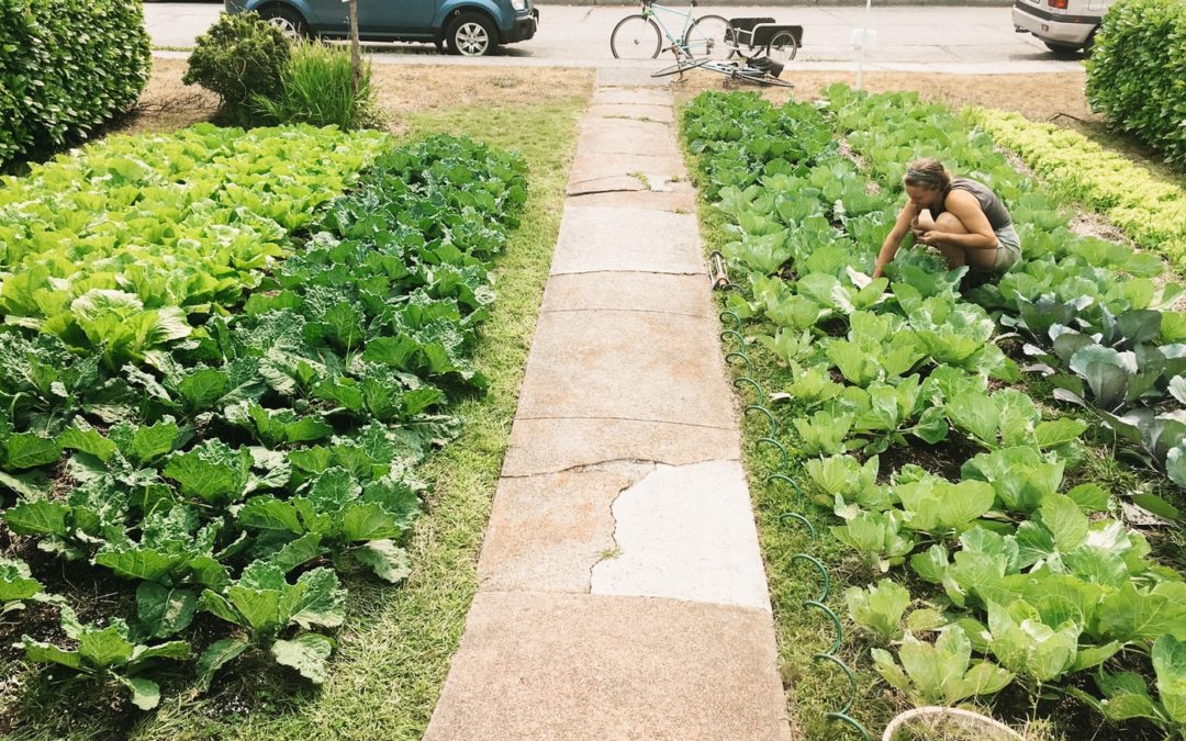 How Urban Farms Help the Community