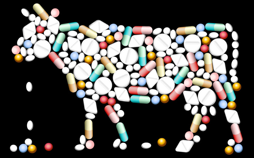 6 Things to Know About Antibiotics in Agriculture
