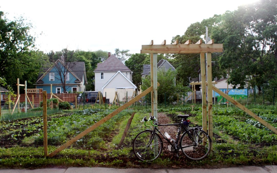 5 Urban Farms Making a Difference in California
