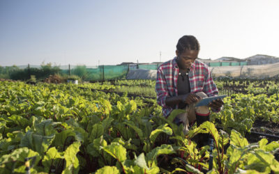 Investing in Sustainable Farming