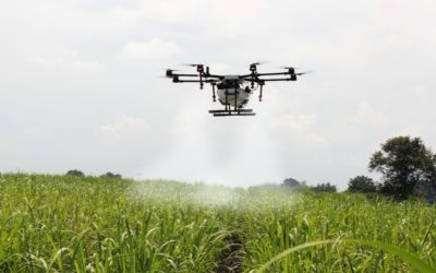 Using Drones in Modern Agriculture