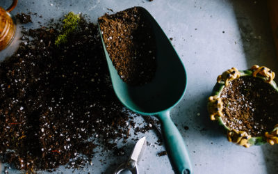 Tips For Making Your Own Compost