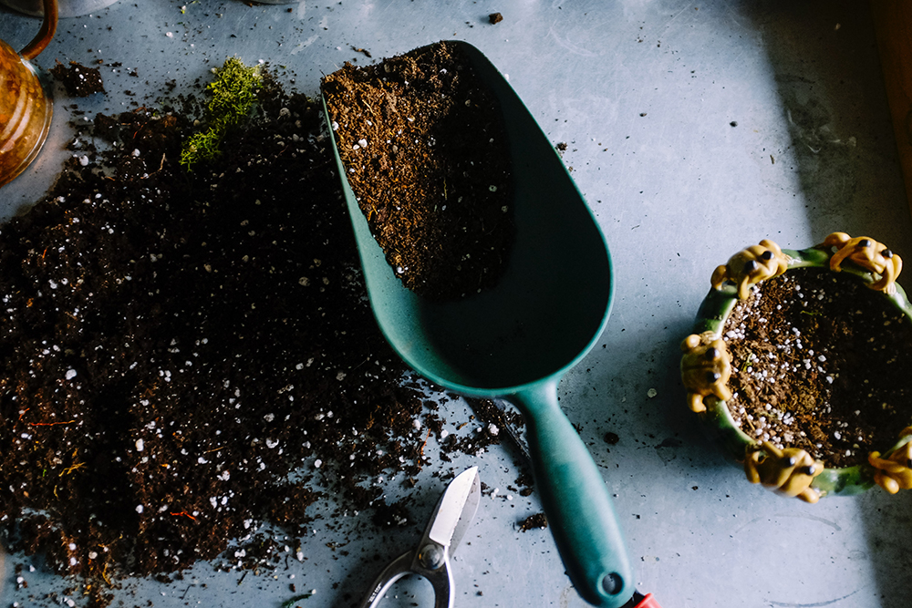 Tips For Making Your Own Compost