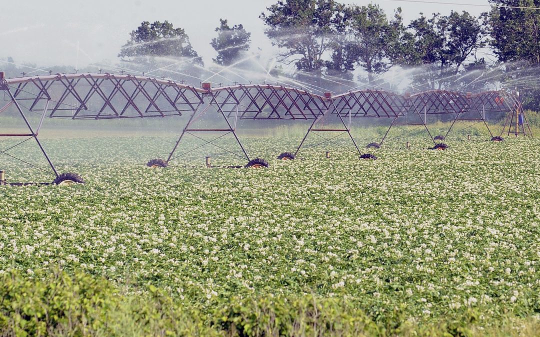 How Farms Can Conserve Water