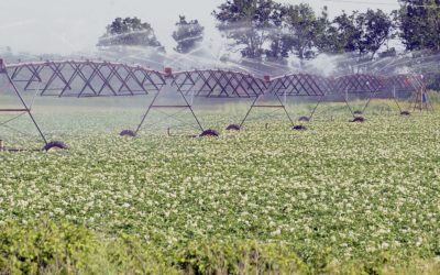How Farms Can Conserve Water