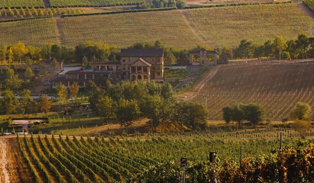 Is Winemaking Sustainable?