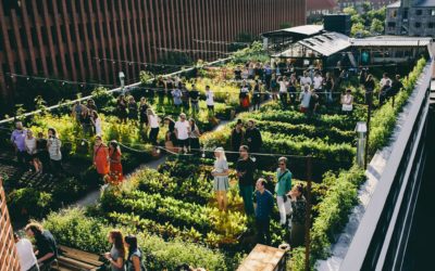 Developing Small Urban Farms