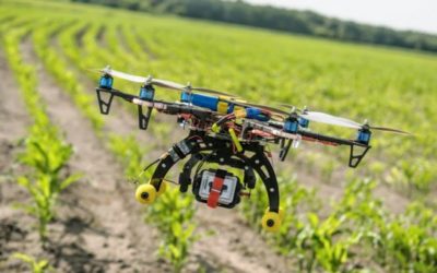 What Is Precision Agriculture?