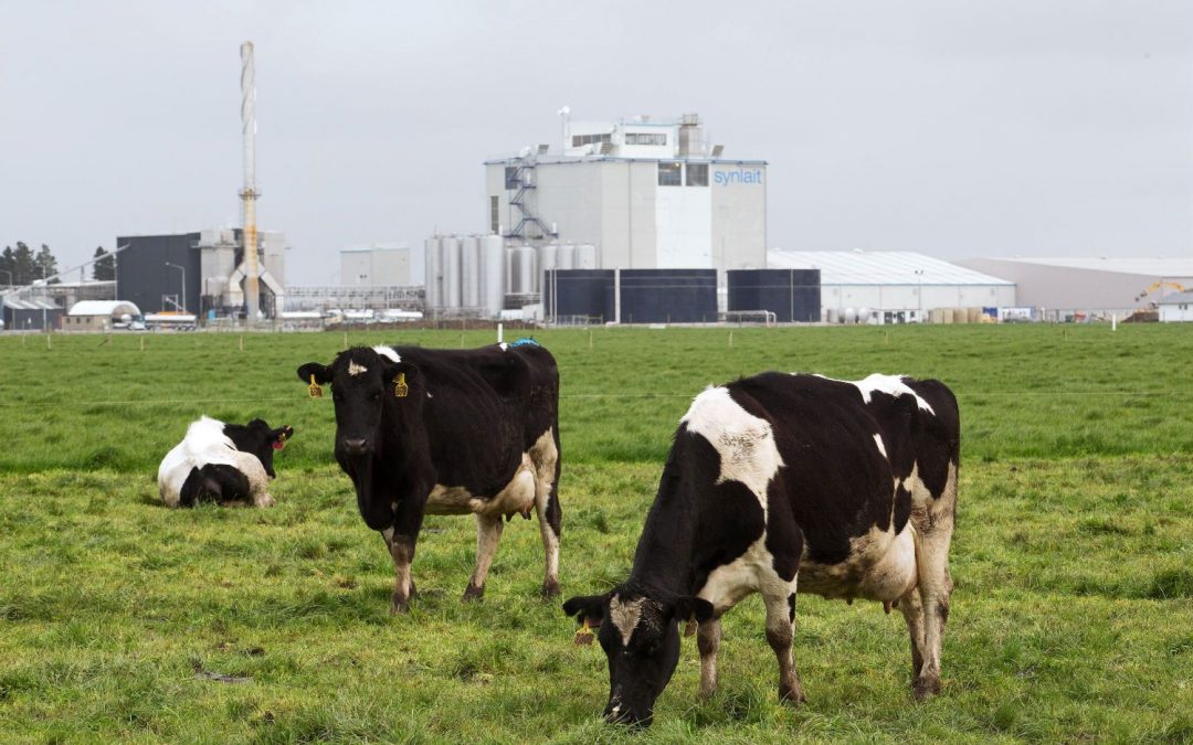 meat production meat production