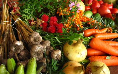 Promoting Organically-Farmed Produce