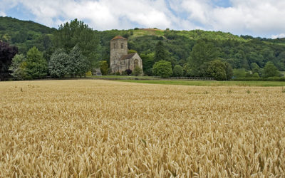 Investing in Green Agriculture