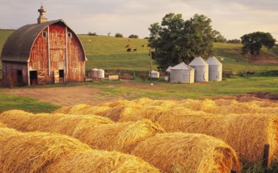 The Qualities of an Effective Food System