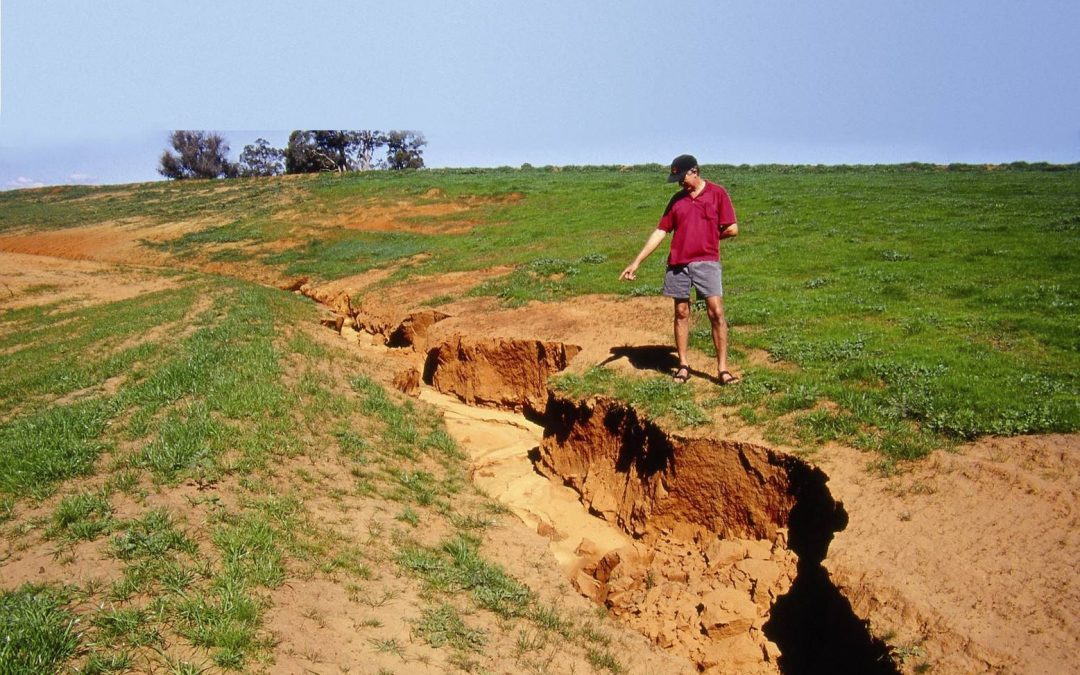 6 Tips for Repairing Soil Erosion