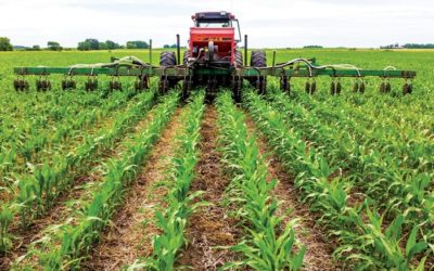 Reduced Tillage: Key Points You Should Know