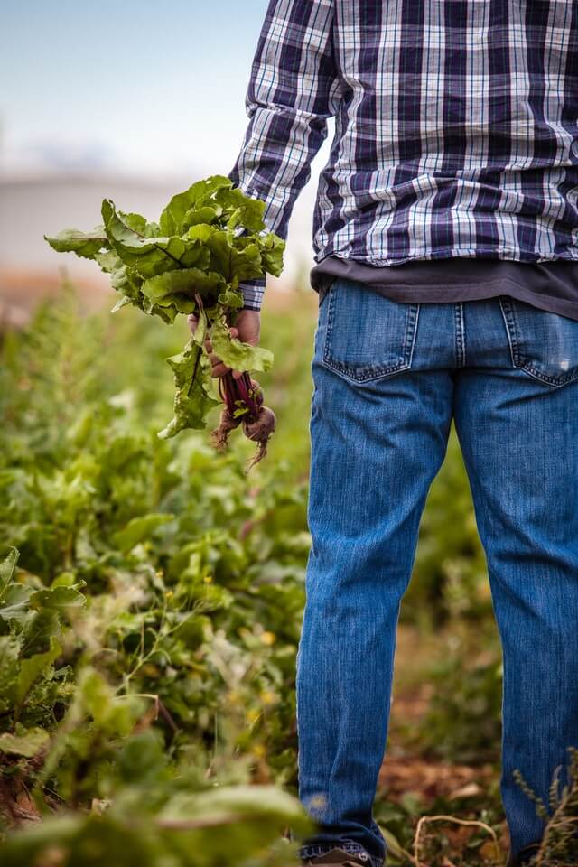 The Thriving Farmer Podcast