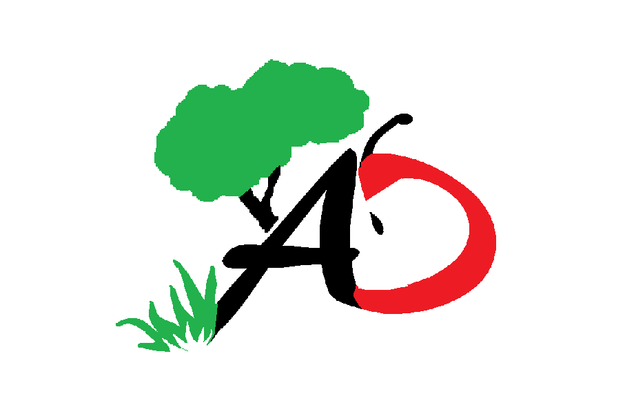 Abundant Design
