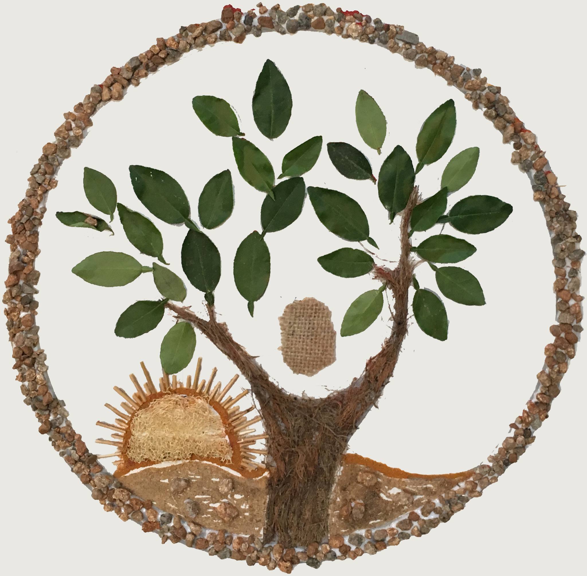 Aranya Agricultural Alternatives