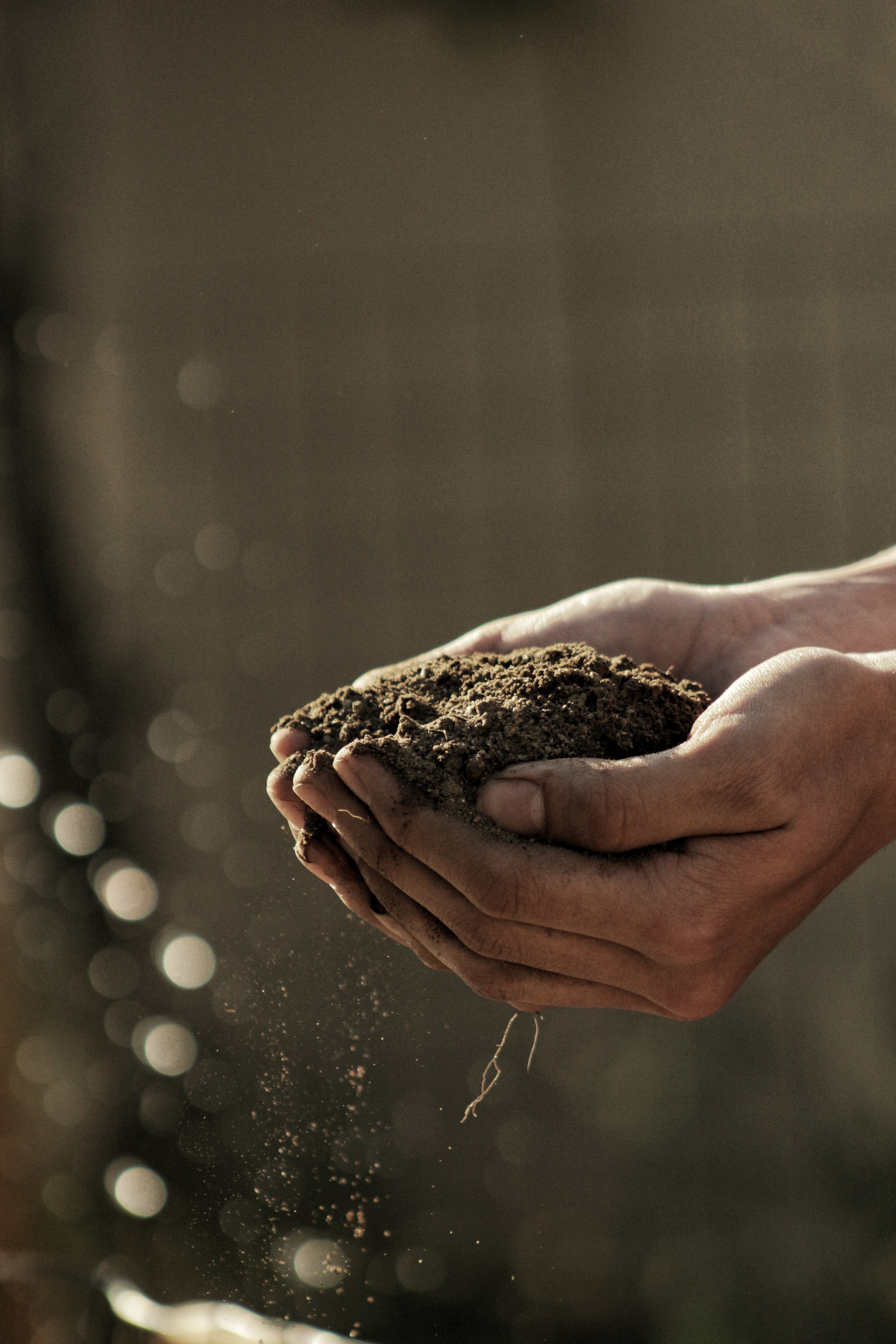 Soils, Food and Healthy Communities