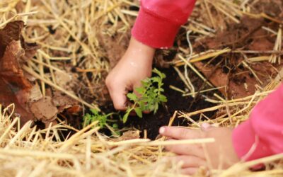 What is Circular Farming?